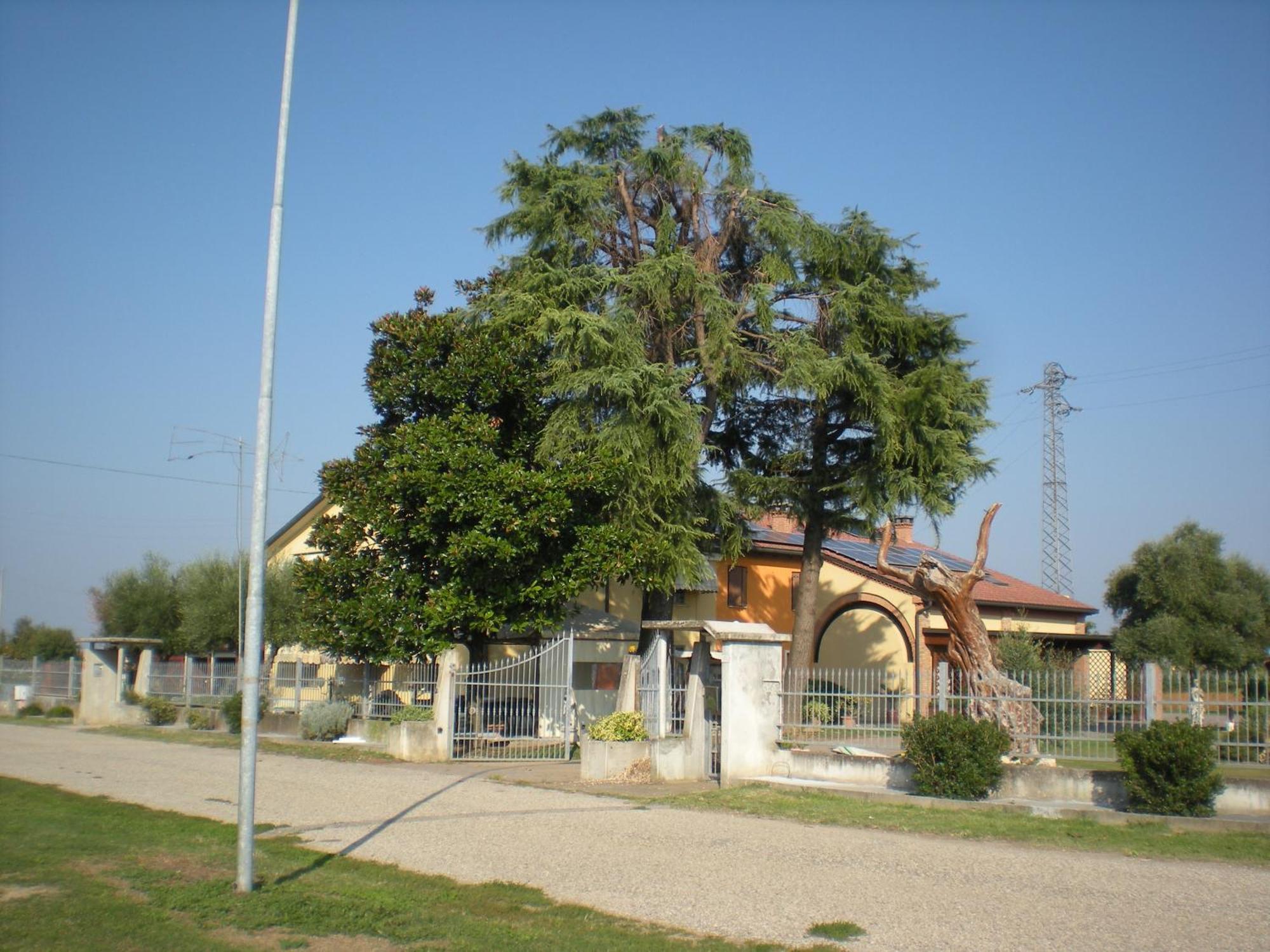 Camere Solidea Veronella Luaran gambar